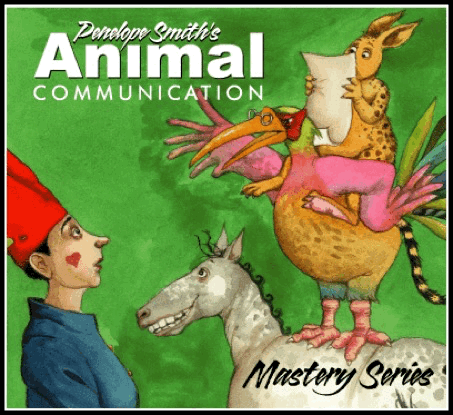 Animal Communication Mastery Series by Penelope Smmith
